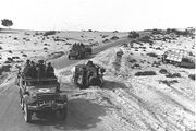 The Sinai Campaign – 1956
